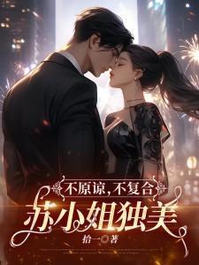 苏小姐独美25集